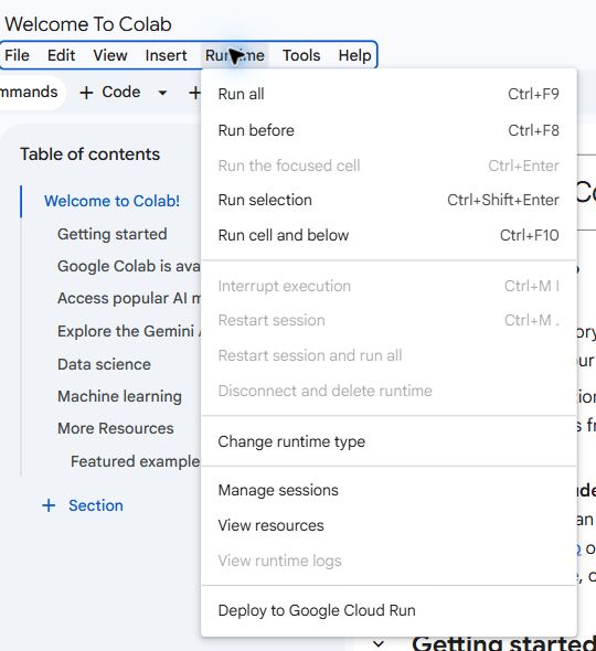 תפריט Runtime ובו האפשרות Change runtime type
