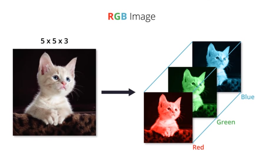 פירוק תמונת RGB לשלושה ערוצי צבע.